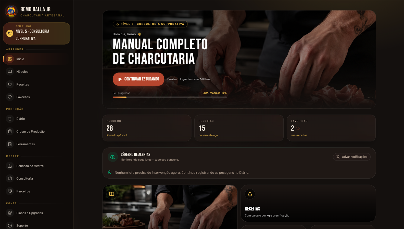 Painel da Dalla Fran no computador